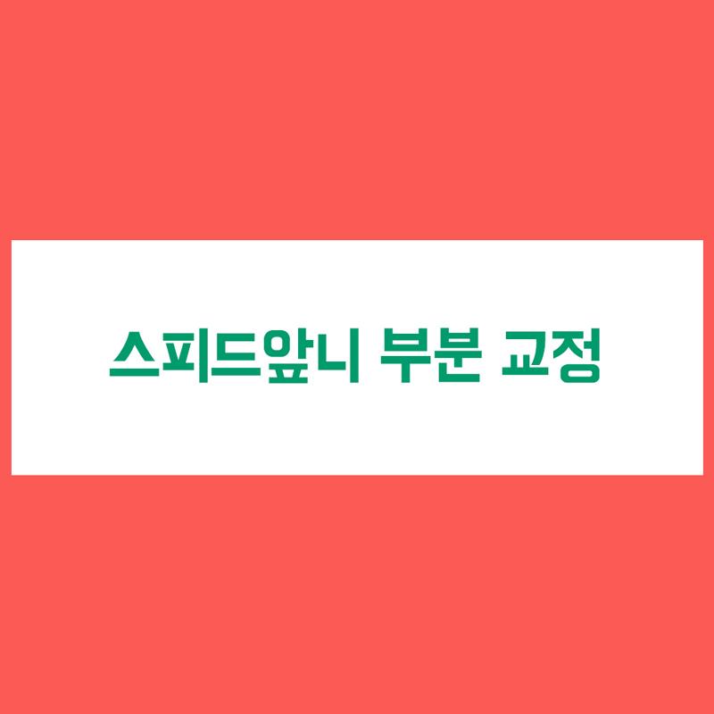스피드 앞니 부분 교정